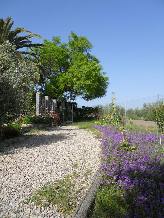 La Aragonesa Guest House Marmolejo Exterior photo